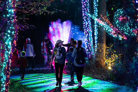 Lone Star Lights is a family-friendly Christmas light experience hosted at Carolina Creek