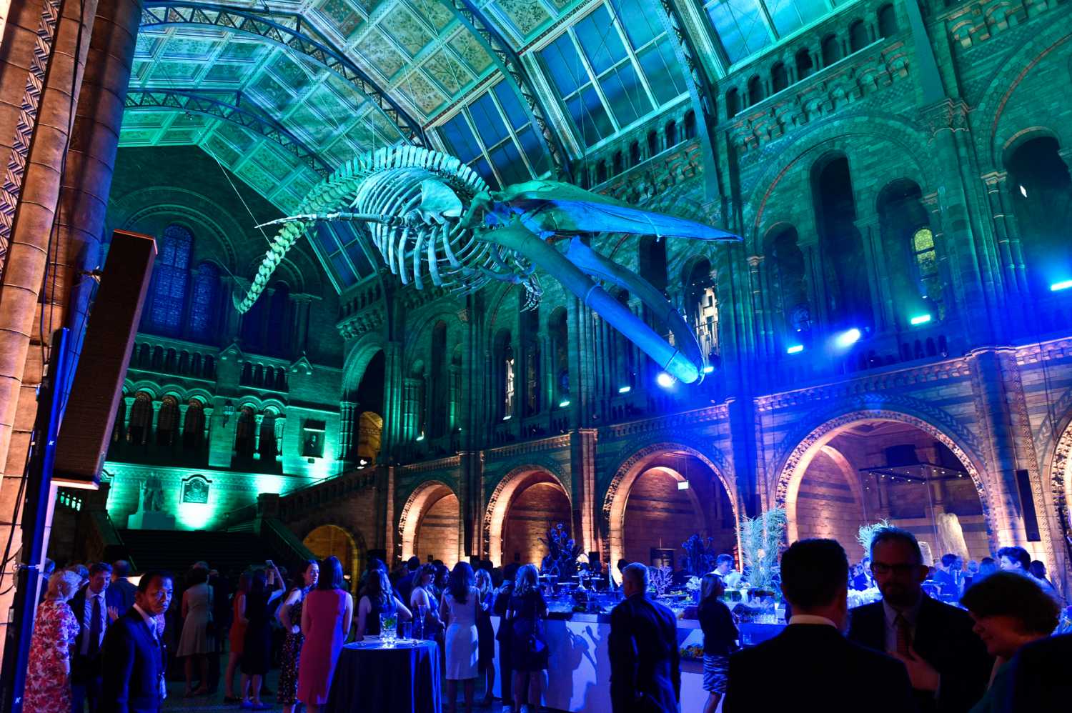 The Natural History Museum reveals a new-look Hintze Hall