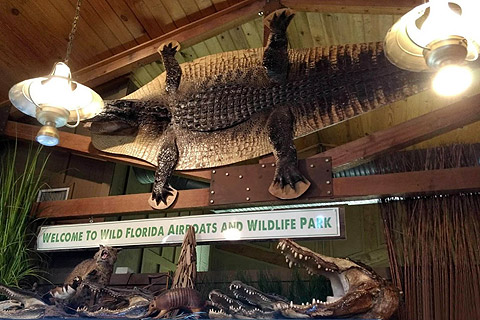 The Wild Florida gift shop