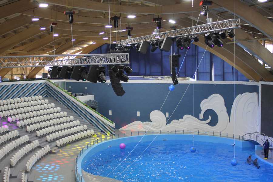 The newly-opened Grozny Dolphinarium