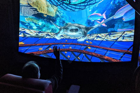 Vioso’s Panadome will play an integral part in DepthQ VR, LightSpeed Design’s interactive VR theme park ride