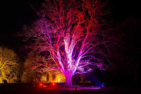 Winter Lights at Anglesey Abbey