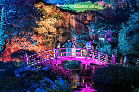 This year’s event was centred around the Japanese Garden section which included an authentic Japanese Moon Bridge (Dave Parrish Photography)