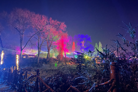 Winter festival in Cologne